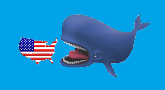 whale-usa-3d