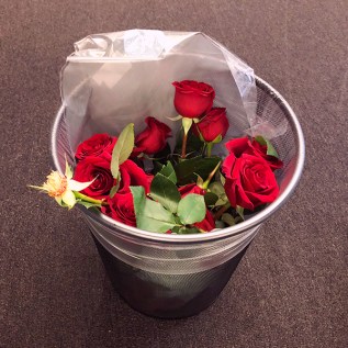 roses in the trash